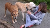 Hundebetreuung mit Herz